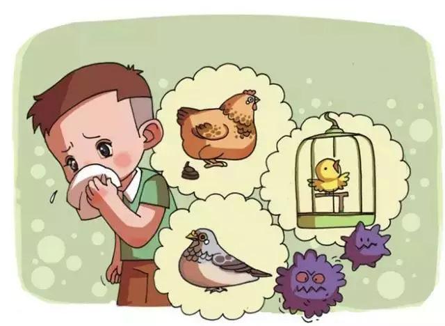 过敏性鼻炎的危害有哪些